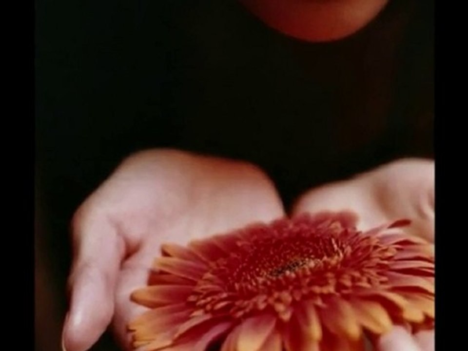 Για την Stefania μου