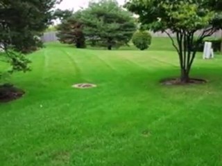 Homes for Sale - 402 Kerry Ct - Carol Stream, IL 60188 - Col