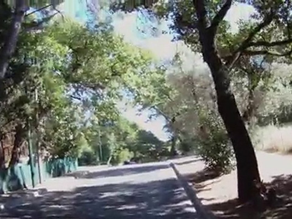 longboard hyeres