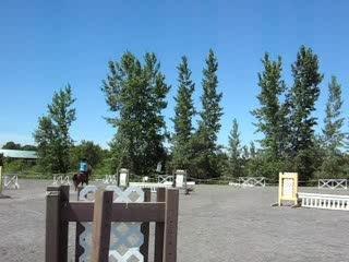 Petit obstacle de tomber