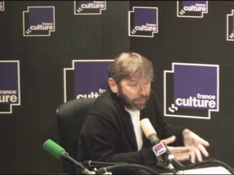 Les Matins - Pierre-Jean Luizard