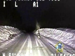 SNTV - Buddy le berger allemand