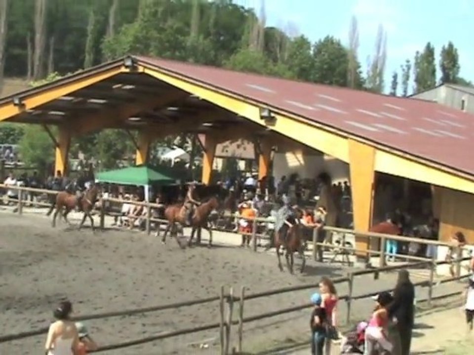 Le roi lion scène 10