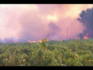 les incendies de besille a meze on fait des ravages