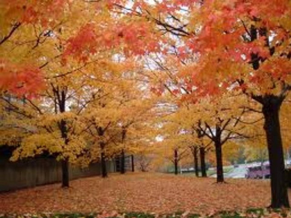 Tanju Duru - Yedi Eylül