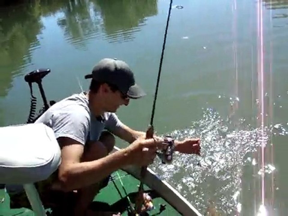 bass à vue Clem