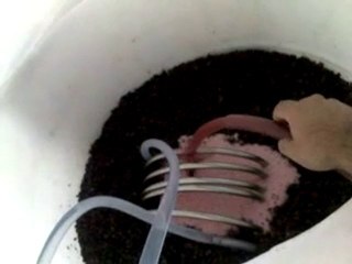 firts batch of 2010 harvest season