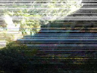 TRAILEURVIV EXPERIENCE ETAPE N°2 (st pabu - plouneour trez)