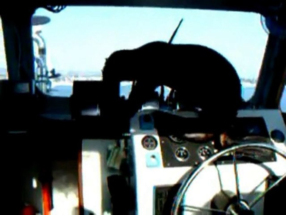 SNTV - Exklusiv! Niedlich: der Robben-Dieb