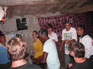 chantier de jeune au chateau de sanzay 2010_0003