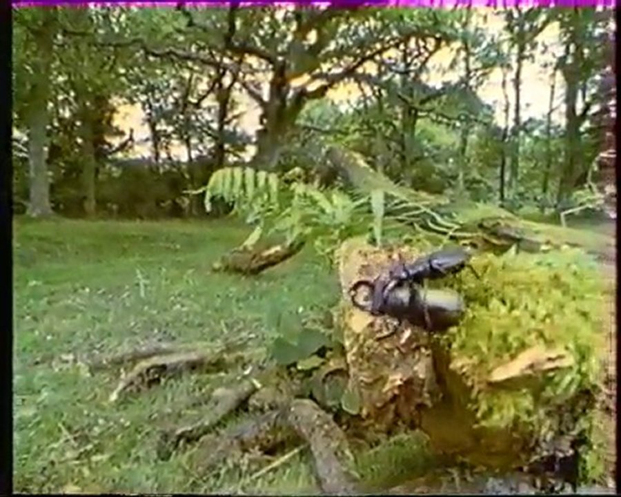 Les inventions de la vie 20 : Ces messieurs au salon 1