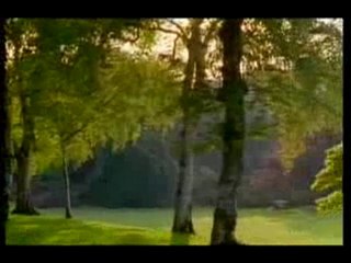 Göz merceği, gözün objektif ayarı