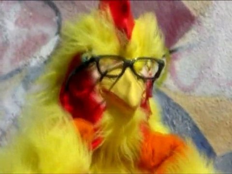 SNTV - Exklusiv: die Verrückten Hollywoods