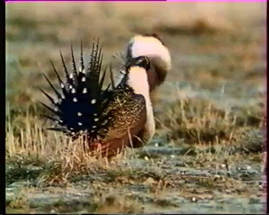 Les inventions de la vie 20 : Ces messieurs du salon 2