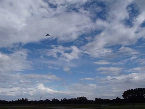 Le Cerf Volant capricieux de Patrice. Parc Miribel Jonage.