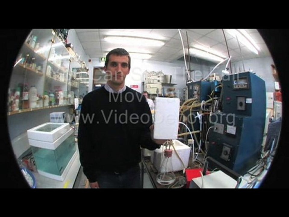 Addicted to Plastic (2009) Part 1 OF 12