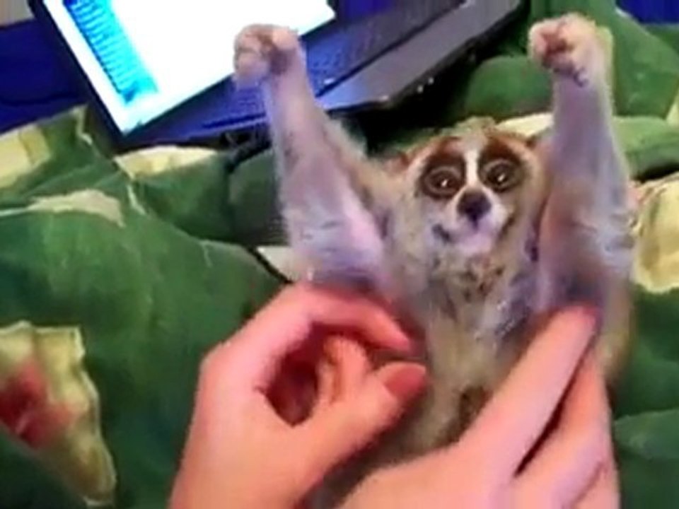 ohh ohh kaşııı =)