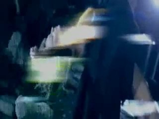 Malina - Vsiakakvi Maje