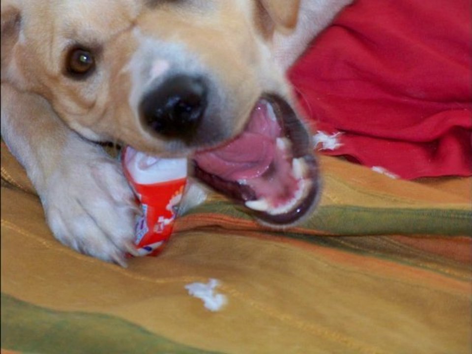 Preview de la Keynote d'Apple du 1er Septembre 2010