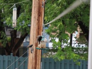 épisode:01/07 ACROSS ATLANTIC