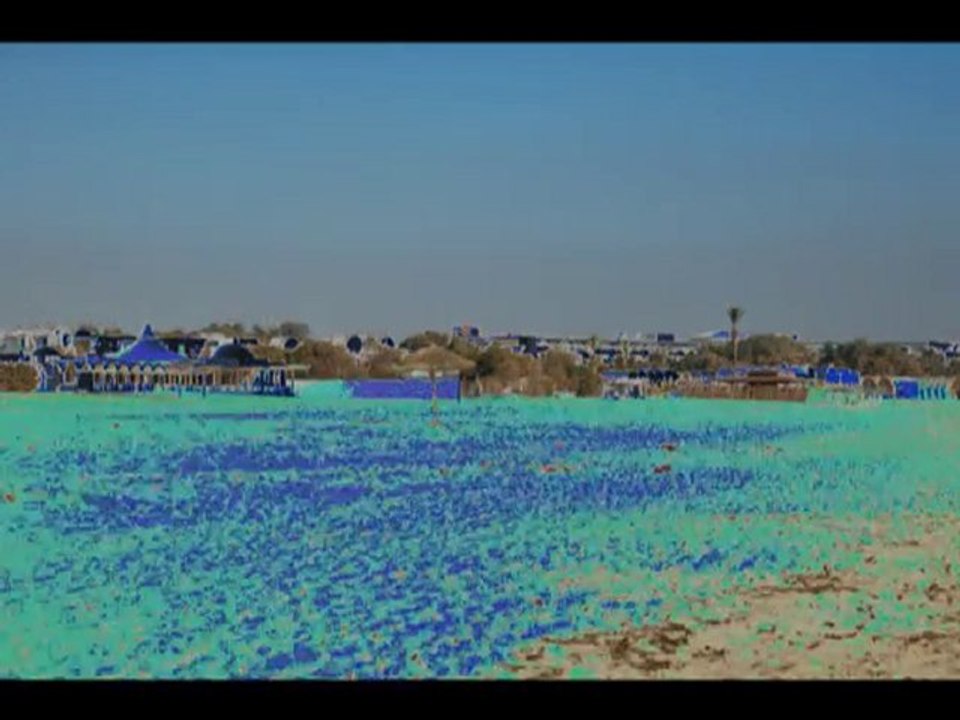 261208_port yasmine