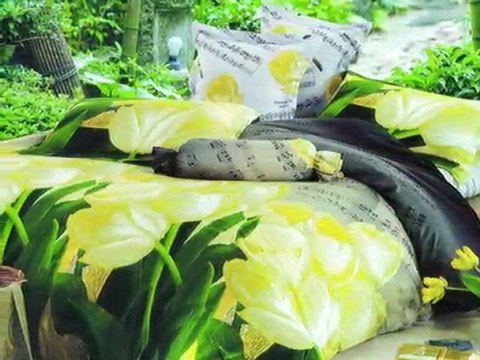 Asian Duvet Cover Sets