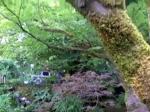 Butchart Gardens, a Must-See while in Victoria, BC