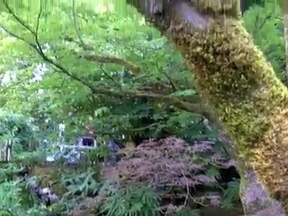 Butchart Gardens, a Must-See while in Victoria, BC