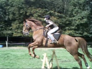 Progrès avec Original Bay