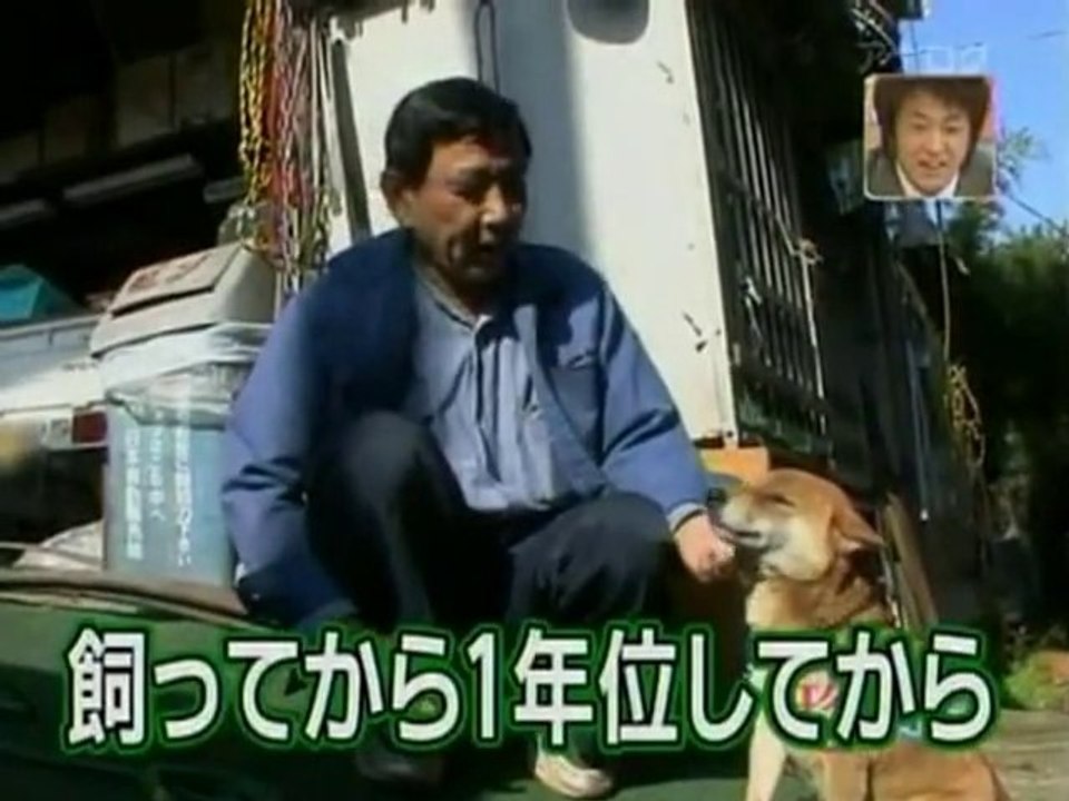 SNTV - Exklusiv: Der lächelnde Hund