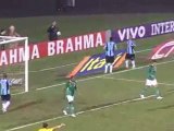 Campeonato Brasileiro 2010: Grêmio 1 x 0 Guarani