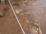 Small boiling water spring