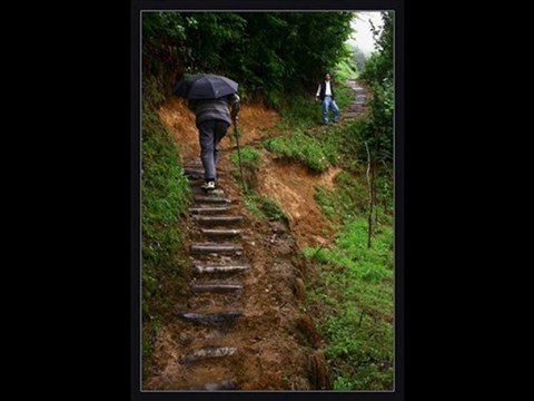 çamlıhemşin-yayla manzara -33