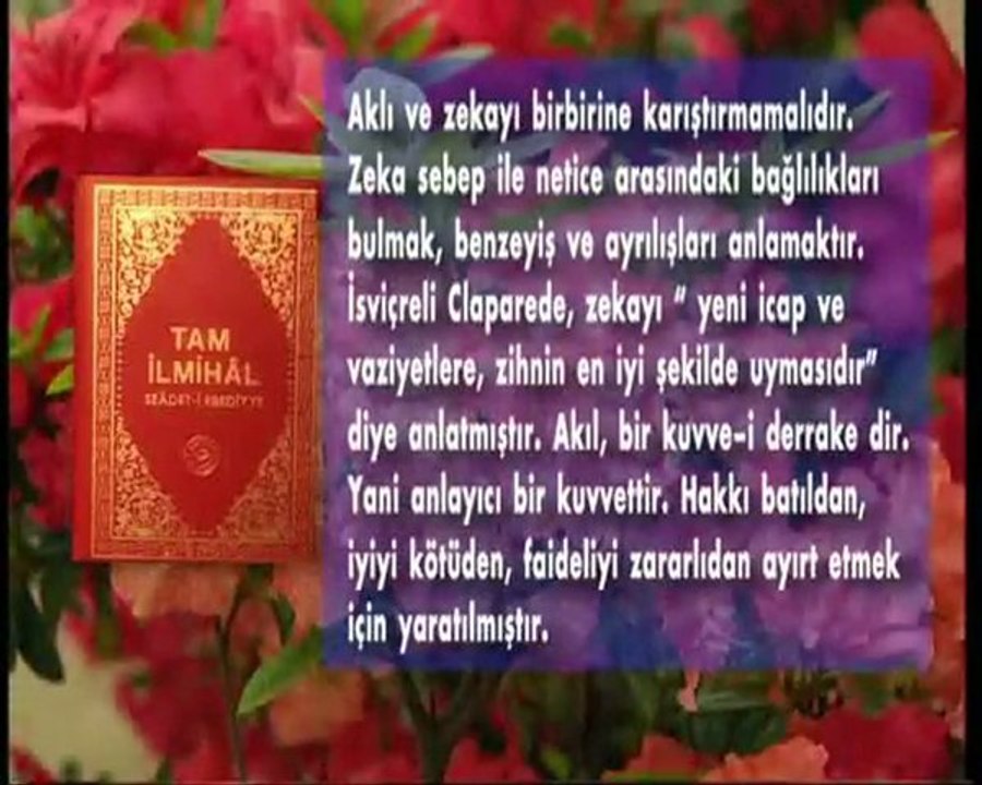 Akıl ve zeka arasındaki fark