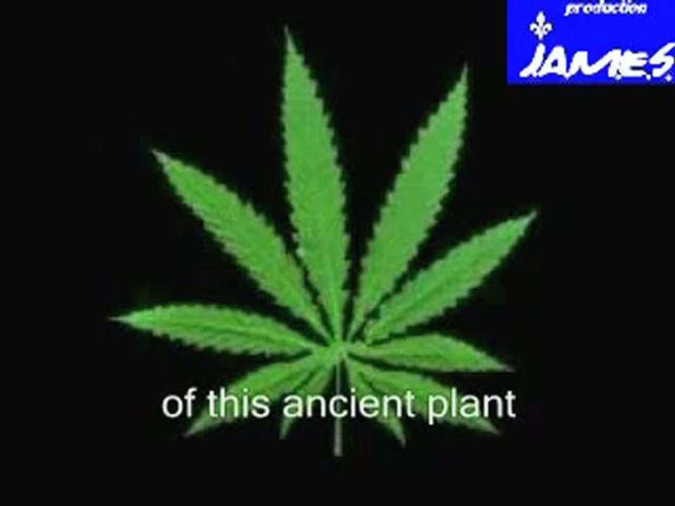 Conspiration Contre Cannabis Sativa Par James