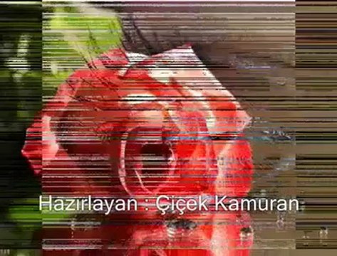 [ Duygusal Kalpler Durağı ] Rafet El Roman - Gönül