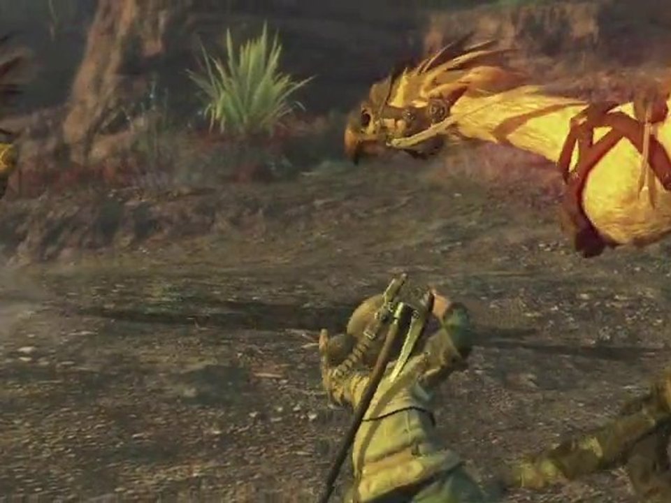 Final Fantasy XIV Collectors Edition Trailer