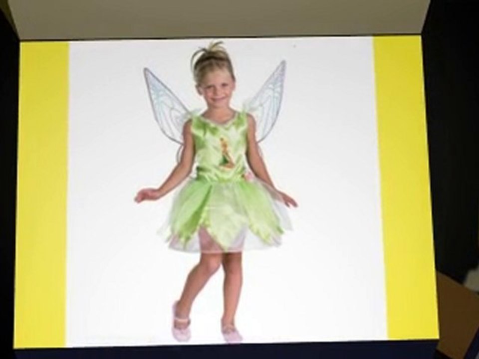 Disney Tinkerbell Costume