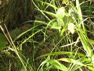 Przekaz - Czy chcecie, abyśmy się ujawnili Cz-1 - 30-08-2010