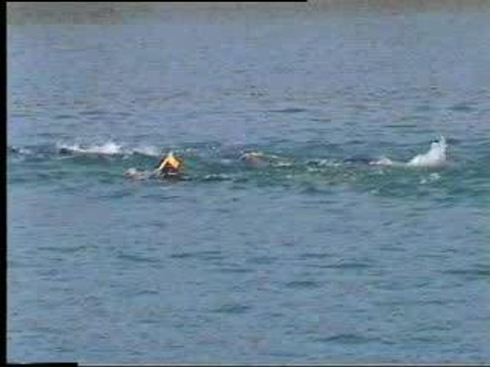 Long distance finswimming Colmar