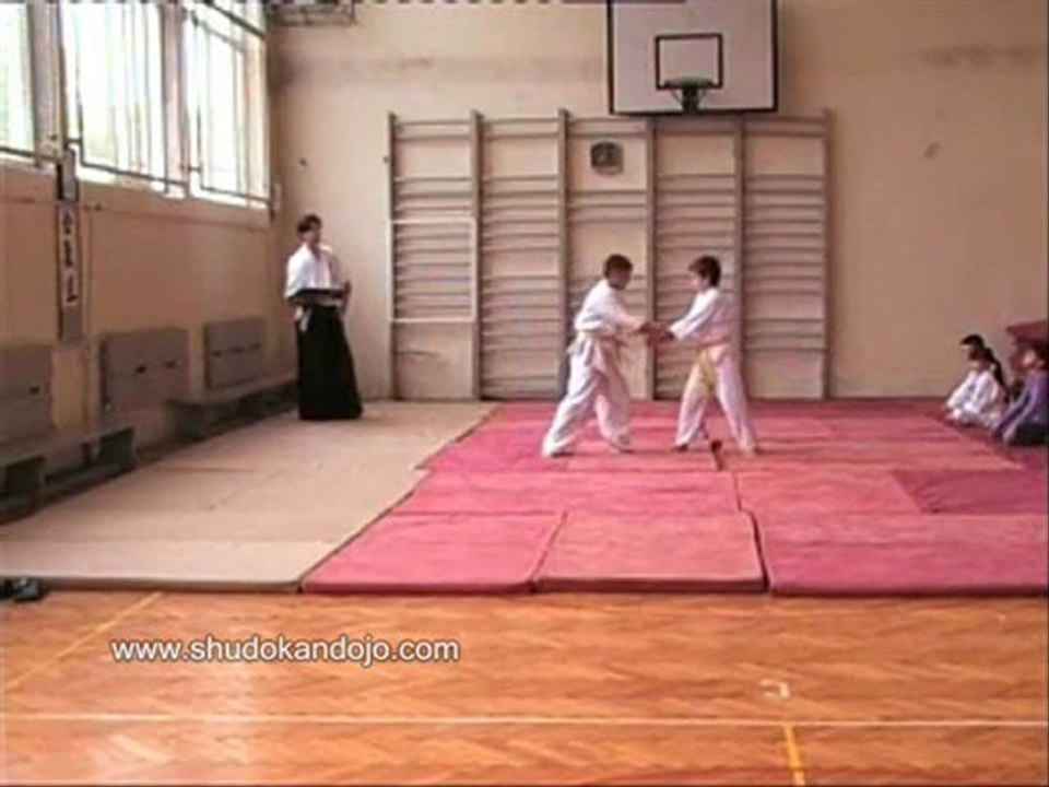 Изпит за 4-то кю /2-ра част/