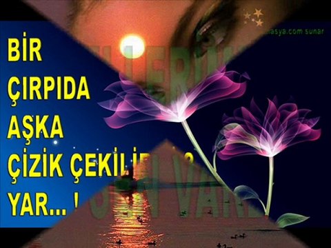 YAR - haberamasya.com sunar