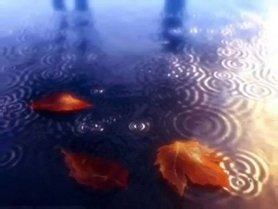 Oğuz Boran - Can Leyli