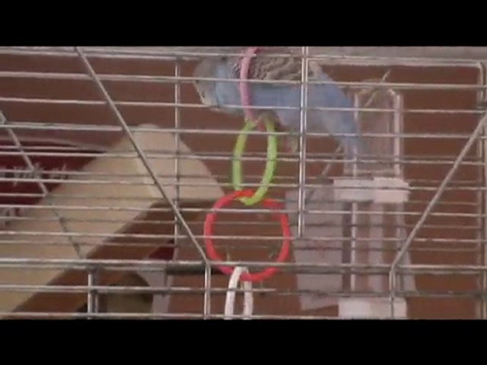 Casper'ın Favori Oyuncağı