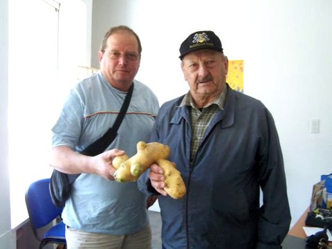 La Neuville Roy : une pomme de terre géante