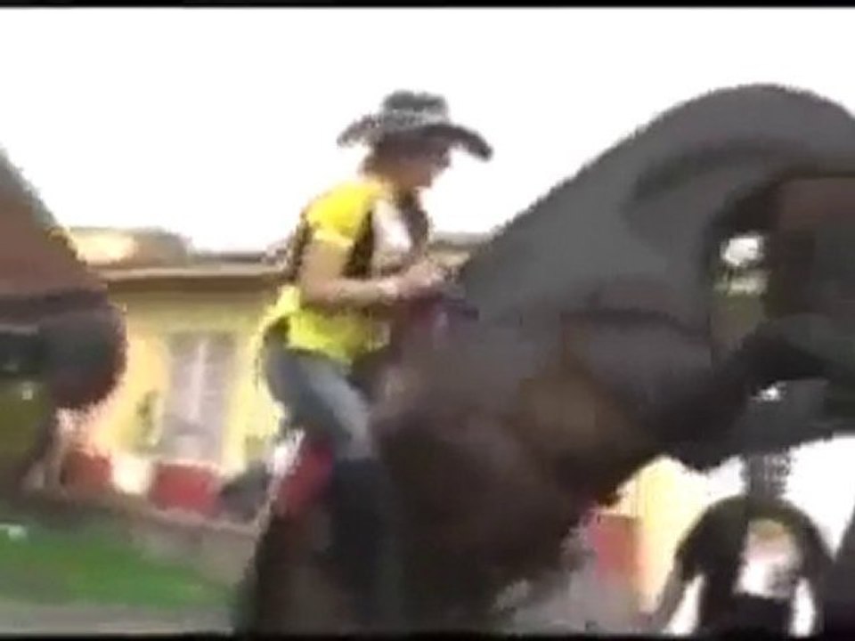 O Kadını atın üstüne Oturtursanız olacağı O..! :)
