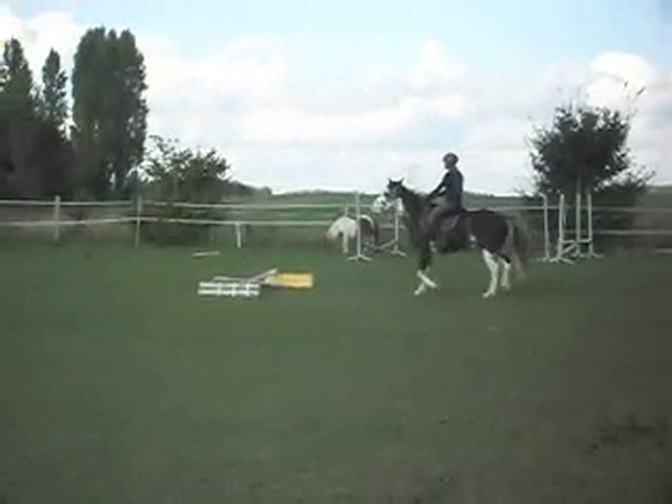 STAGE AVEC CELINE:gestion d' Hasta foulée par foulée: CAM'!