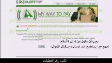 alertpay personal  pro