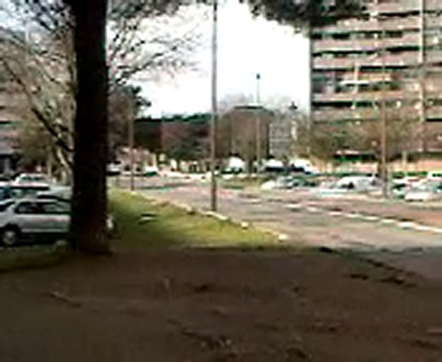 les mec de bischope0003