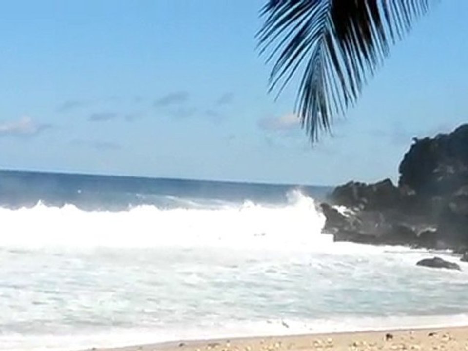 grosses vagues a la grande anse (ile de la reunion)